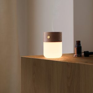 Small LED Wooden Table Lamp